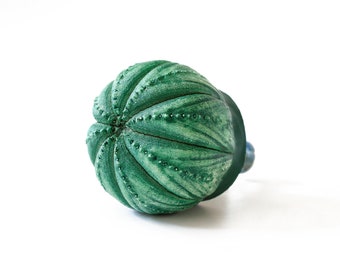 Knobs drawer knobs for dresser knobs set knobs and handles knobs and pulls cupboard knobs cupboard door knobs kitchen knobs cabinet knobs
