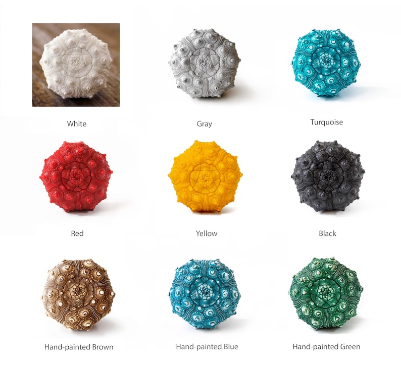 May include: Nine sea urchin shells painted in various colors, including white, gray, turquoise, red, yellow, black, brown, blue, and green. The shells are arranged in a grid pattern on a white background.