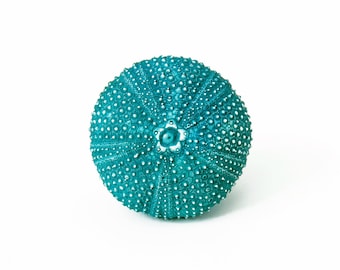 Beach house cupboard knobs drawer knobs cabinet knobs dresser knobs decorative knobs kitchen hardware furniture hardware sea urchin
