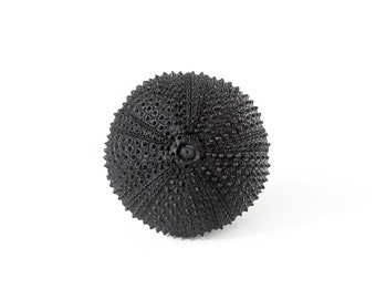 Sea urchin Beach house cupboard knobs. Black knobs for dresser and kitchen cabinet drawer. Gothic furniture cabinet vanity furniture.