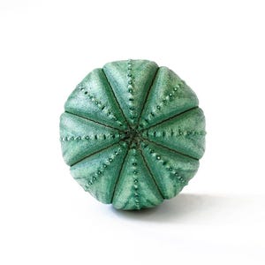 Knobs drawer knobs for dresser knobs set knobs and handles knobs and pulls cupboard knobs cupboard door knobs kitchen knobs cabinet knobs imagen 10