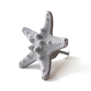 Concrete knobs beach house decorative knobs drawer knobs cupboard knobs starfish kitchen knobs dresser knobs drawer handles knob