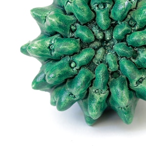Pu&ograve; includere: Un oggetto rotondo, verde e spinoso con molti piccoli occhi rotondi. L'oggetto &egrave; fatto di un materiale testurizzato e ha una superficie leggermente ruvida.