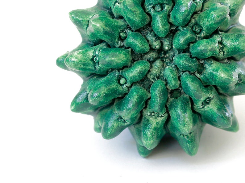 Pu&ograve; includere: Un oggetto rotondo, verde e spinoso con molti piccoli occhi rotondi. L'oggetto &egrave; fatto di un materiale testurizzato e ha una superficie leggermente ruvida.