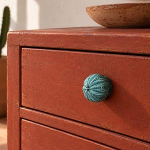 May include: A terracotta-coloured wooden drawer unit featuring a round, teal-coloured cabinet knob with a textured, ribbed surface resembling a sea urchin. The drawer unit has a matte finish and is positioned next to a potted cactus and a bowl.