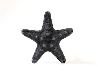 Kitchen drawer handles kitchen drawer knobs kitchen drawer pulls knobs beach house decor knobs and pulls cabinet handles starfish fixtures