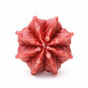 May include: A deep red, multi-layered, star-shaped object with a textured, folded surface. The structure features symmetrical, pointed petals radiating from a central point, creating a complex, geometric, and three-dimensional floral appearance.
