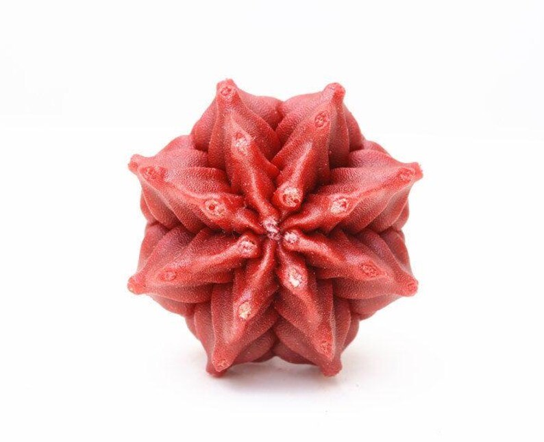 May include: A deep red, multi-layered, star-shaped object with a textured, folded surface. The structure features symmetrical, pointed petals radiating from a central point, creating a complex, geometric, and three-dimensional floral appearance.