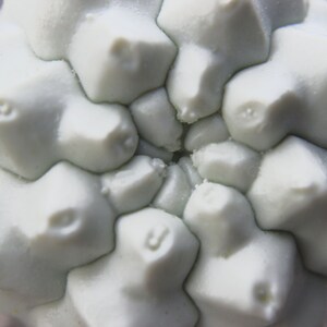 May include: Close-up of a light green, textured, round object with a series of small, raised, circular shapes.