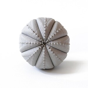 May include: A spherical, light gray ceramic object with a textured surface resembling a sea urchin. The object features deep, radiating grooves that divide the sphere into segments, with a line of small, raised dots running along each ridge.