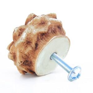 May include: A cabinet knob with a textured, brown, and tan surface resembling natural antler material. The knob features a rounded, irregular shape and is attached to a silver-colored metal bolt with a flat head, extending from the base.