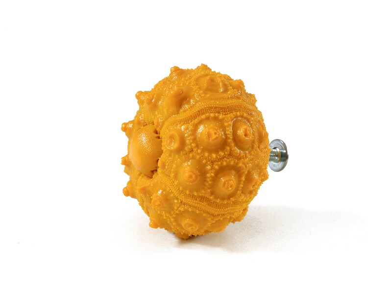 Puede incluir: Un pomo de armario en forma de erizo de mar amarillo con un tornillo plateado.