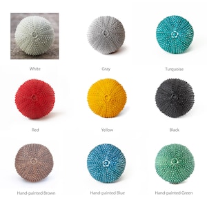 May include: Nine sea urchins painted in various colors, including white, gray, turquoise, red, yellow, black, brown, blue, and green. The sea urchins are arranged in a grid pattern on a white background.