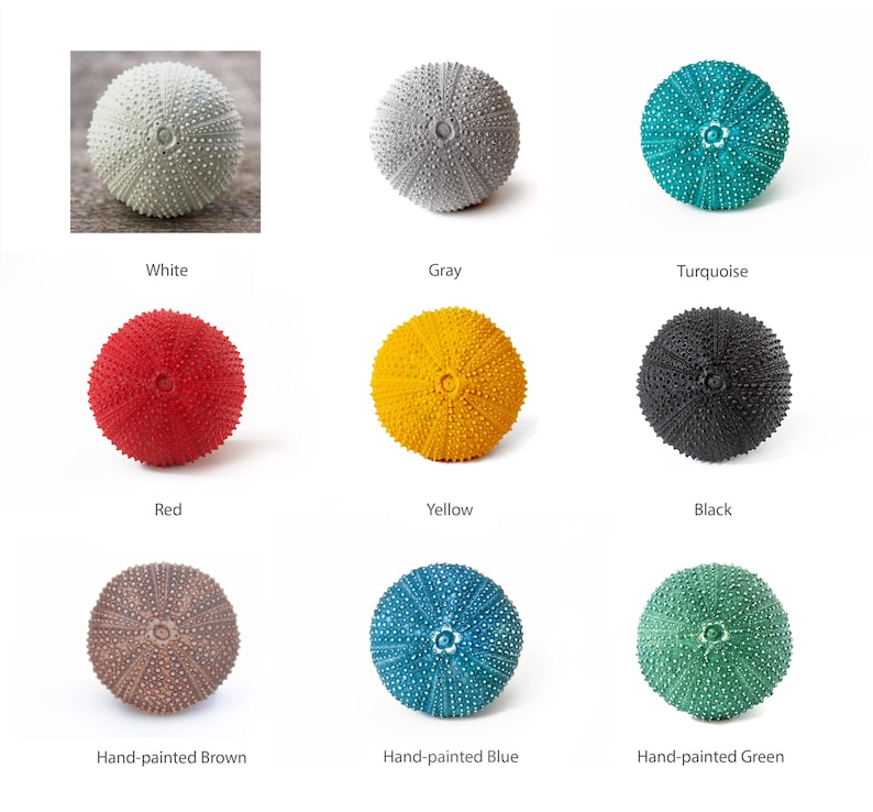 May include: Nine sea urchins painted in various colors, including white, gray, turquoise, red, yellow, black, brown, blue, and green. The sea urchins are arranged in a grid pattern on a white background.