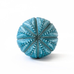 May include: A spherical sea urchin shell with a vibrant turquoise blue finish. The surface features a radial pattern of segmented ridges, each adorned with a line of small, raised, bead-like bumps that converge at the center point.