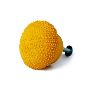 Puede incluir: Pomo de armario amarillo con dise&ntilde;o de erizo de mar. El pomo tiene forma redonda con una superficie detallada y con bultos y est&aacute; unido a un tornillo met&aacute;lico. El fondo es blanco.