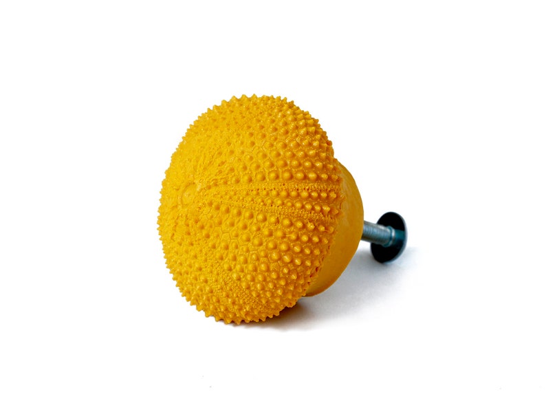 Puede incluir: Pomo de armario amarillo con dise&ntilde;o de erizo de mar. El pomo tiene forma redonda con una superficie detallada y con bultos y est&aacute; unido a un tornillo met&aacute;lico. El fondo es blanco.