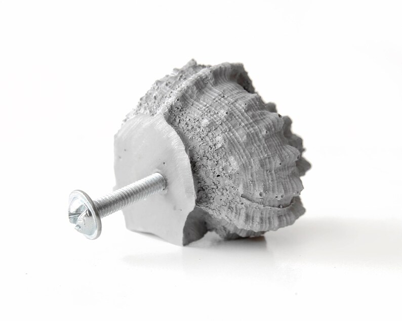 May include: A grey seashell-shaped cabinet knob with a silver screw. The knob is made of a textured material that resembles a seashell.