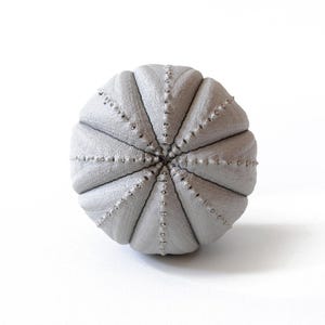 Knobs drawer knobs for dresser knobs set knobs and handles knobs and pulls cupboard knobs cupboard door knobs kitchen knobs cabinet knobs imagen 7