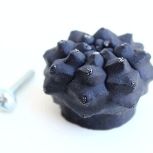 May include: A matte black cabinet knob shaped like a succulent plant with a textured, spiky surface and a metallic silver screw positioned to the left. The knob has a rounded, multi-faceted top with small, pointed protrusions across its surface.