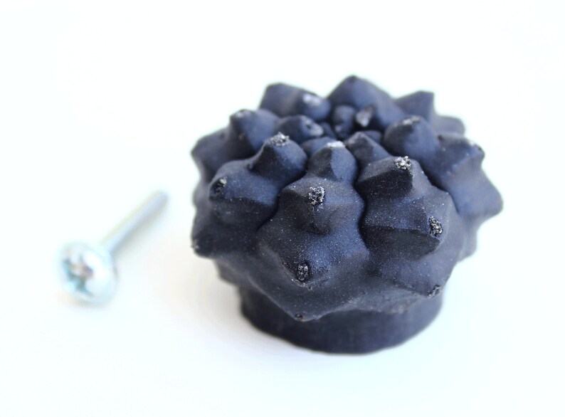 May include: A matte black cabinet knob shaped like a succulent plant with a textured, spiky surface and a metallic silver screw positioned to the left. The knob has a rounded, multi-faceted top with small, pointed protrusions across its surface.