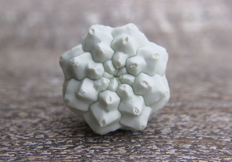 May include: A pale green, star-shaped, geometric sea urchin shell with a textured surface.