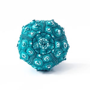 May include: A teal blue sea urchin shell with a white centre and a textured surface.
