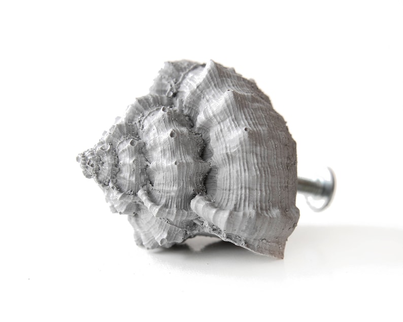 May include: A grey seashell with a textured surface, used as a cabinet knob. The seashell has a screw attached to the back.