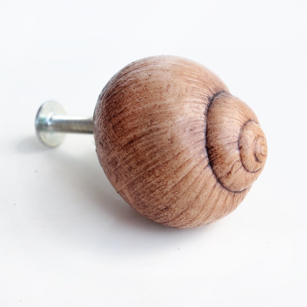 Schrank Knöpfe Schublade Knöpfe dekorative Knöpfe Möbel Hardware Küche Schrank Knöpfe Kommode Schublade zieht Schneckenschalen Schrank Knöpfe Schnecke Schnecke Schnecke Schnecke Schnecke Schnecke Schnecke Schnecke Schnecke