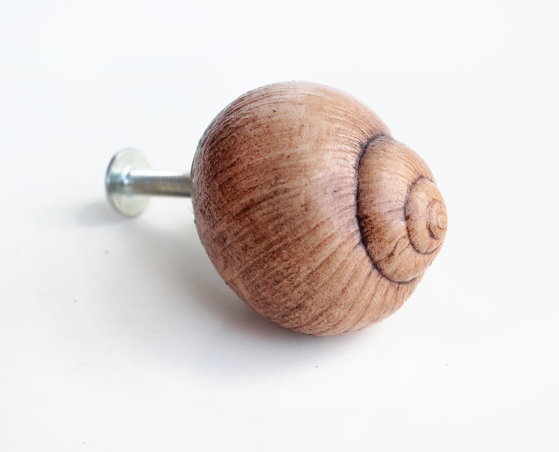 May include: A brown wooden cabinet knob shaped like a snail shell. The knob has a silver metal screw.