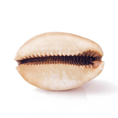 Decorative Knobs Kitchen Knob Beach Decor Kitchen Etsy