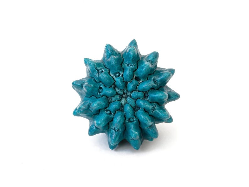 May include: A teal-colored, star-shaped object with a textured, multi-layered surface. The form features numerous pointed, petal-like protrusions radiating from a dense, intricate center, creating a complex, three-dimensional geometric structure.