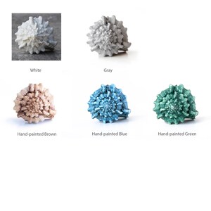 May include: Five seashells painted in different colours: white, grey, brown, blue, and green. The shells are arranged in a row on a white background.