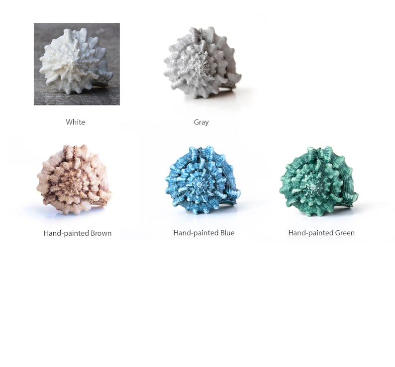 May include: Five seashells painted in different colours: white, grey, brown, blue, and green. The shells are arranged in a row on a white background.
