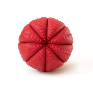 May include: A spherical red object with a textured surface featuring deep vertical grooves radiating from the center. The surface is covered in a fine, uniform pattern of small raised dots along each segment, creating a distinct, segmented appearance.
