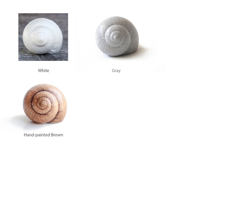 May include: Three snail shell sculptures in different colors: white, gray, and hand-painted brown.