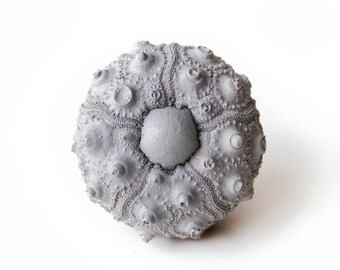 Knobs drawer knobs cabinet knobs furniture knobs kitchen knobs dresser knobs drawer pulls concrete knobs knobs and pulls coastal decor knob