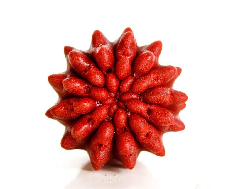 May include: A bright red, star-shaped object with a textured, granular surface. The form features numerous rounded, protruding points radiating from a central core, creating a dense, symmetrical, and multi-layered floral-like appearance.