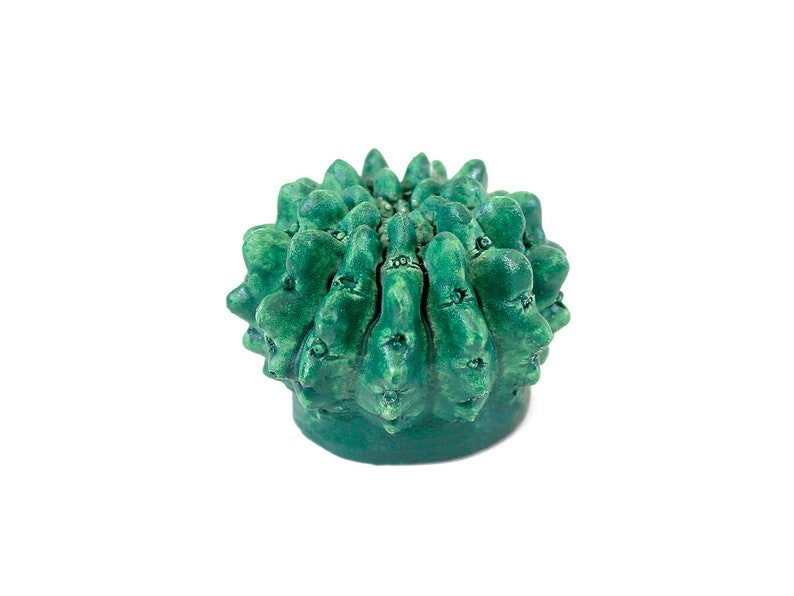 Pu&ograve; includere: Una scultura di cactus in ceramica verde con forma arrotondata e superficie testurizzata.
