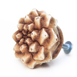 May include: A cabinet knob shaped like a pinecone with a textured, light brown and cream finish. The knob features a detailed, layered scale pattern and is attached to a silver-colored metal bolt with a small circular washer at the base.