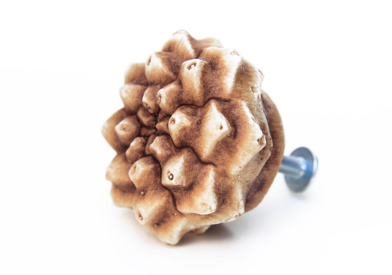May include: A cabinet knob shaped like a pinecone with a textured, light brown and cream finish. The knob features a detailed, layered scale pattern and is attached to a silver-colored metal bolt with a small circular washer at the base.