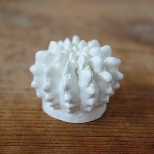 May include: A small, white, spherical object with a textured, bumpy surface resembling a cactus or a sea urchin. The item features numerous rounded, protruding points across its top and sides, resting on a flat, circular base.