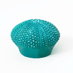 Perillas de armario de casa de playa, perillas de cajón, perillas de tocador, perillas decorativas, herrajes de cocina, herrajes para muebles, erizo de mar imagen 3