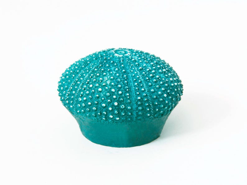 Perillas de armario de casa de playa, perillas de cajón, perillas de tocador, perillas decorativas, herrajes de cocina, herrajes para muebles, erizo de mar imagen 3