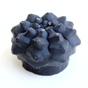 May include: A matte black, rounded, succulent-shaped object with a textured, bumpy surface. The top features numerous pointed, star-like protrusions arranged in a dense, clustered pattern, with small, light-coloured specks visible on the tips.