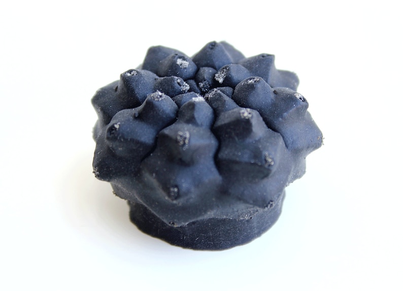 May include: A matte black, rounded, succulent-shaped object with a textured, bumpy surface. The top features numerous pointed, star-like protrusions arranged in a dense, clustered pattern, with small, light-coloured specks visible on the tips.