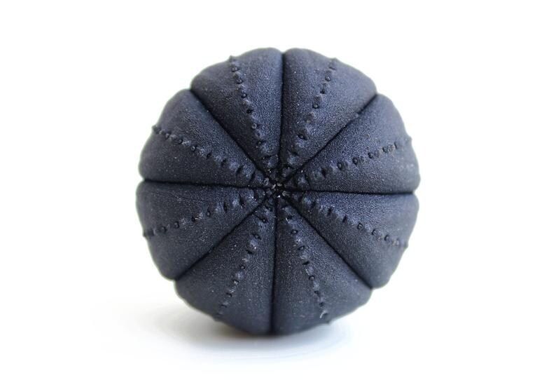 Knobs drawer knobs for dresser knobs set knobs and handles knobs and pulls cupboard knobs cupboard door knobs kitchen knobs cabinet knobs imagen 8