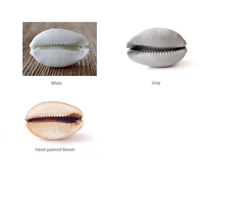 May include: Three cowrie shells, one white, one grey, and one hand-painted brown.