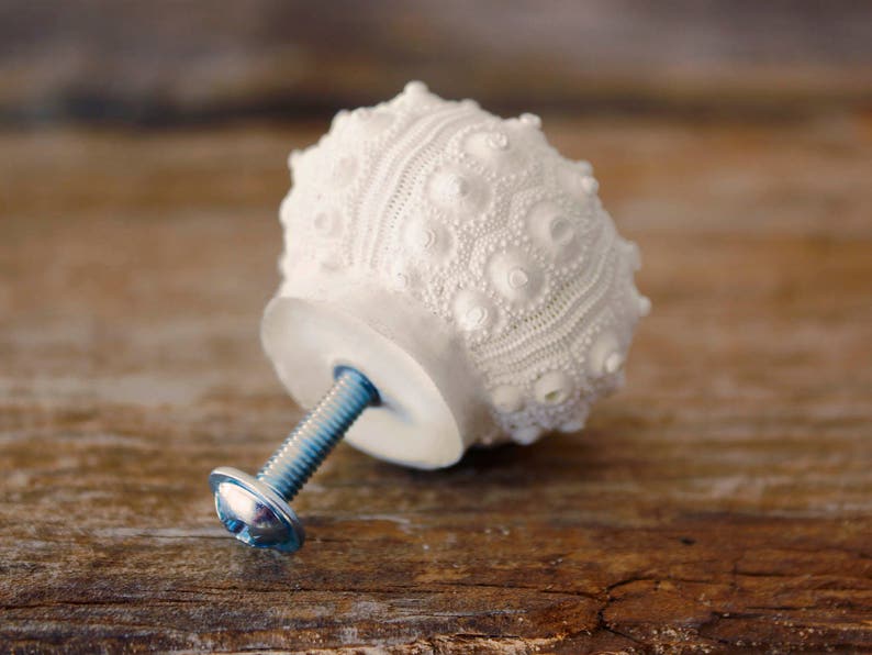 Decorative knobs kitchen knob beach decor kitchen Etsy