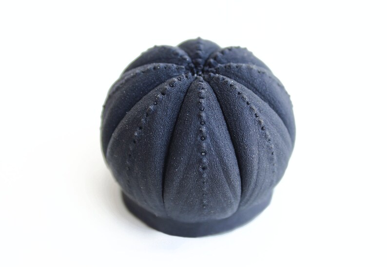 May include: A matte black, spherical object with a textured surface resembling a sea urchin or a cactus. The item features distinct, radiating vertical segments that meet at a central point, each defined by a row of small, raised, bead-like bumps.